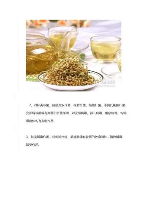 金银花的功效与禁忌