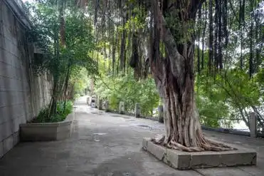 柳州江滨公园 柳州