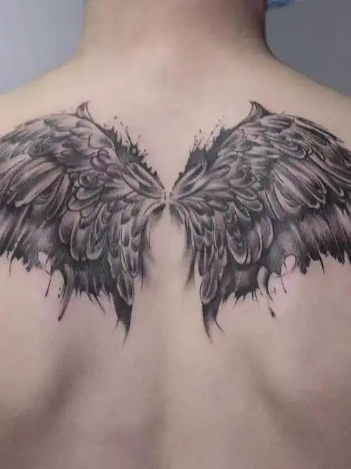 后背翅膀_纹身图案手稿图片_天津怪咖的纹身作品集