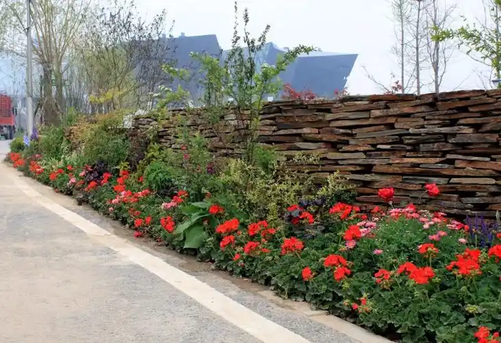 人文动态杭州植物造景与花境花坛研修游学班圆满落幕