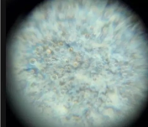 宋代均窑天青釉加入玛瑙和汝窑气泡相同釉面不腐蚀的痕迹,微观痕迹