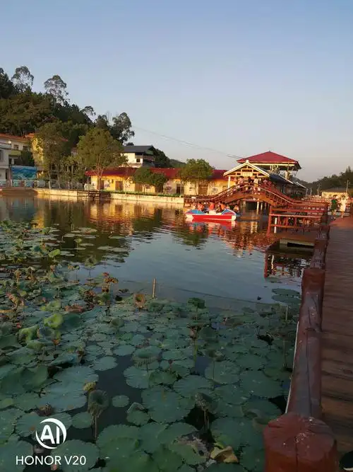 游兴宁市美景,观熙和湾花灯