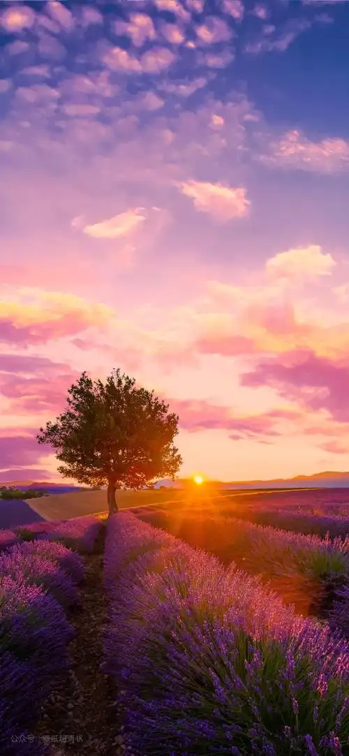 高清风景壁纸大自然