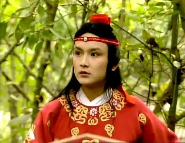 《红楼梦》讲的是贾宝玉的故事,但是为什么要从