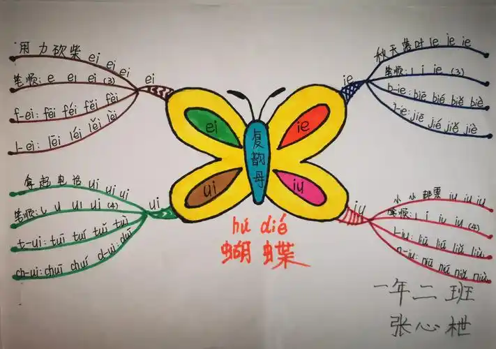 红阳小学学生手绘思维导图作品展示(一学年)