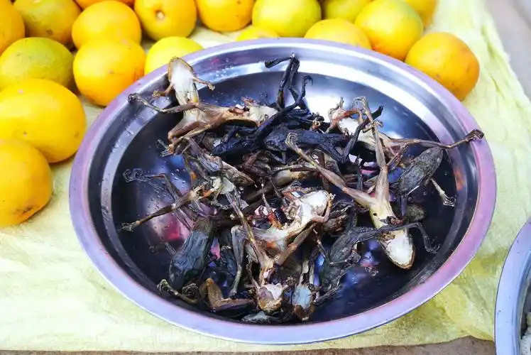 乡村集市上的佤族美食不入眼但美味中富含高蛋白