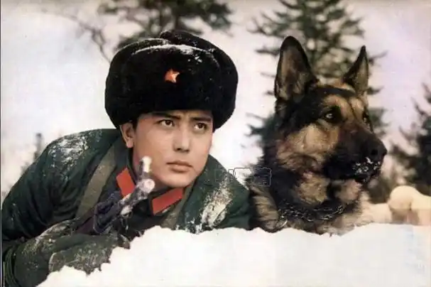 卢君:80年代优质男星,银幕罕见美男子,陈肖依前夫,如今64岁近照曝光