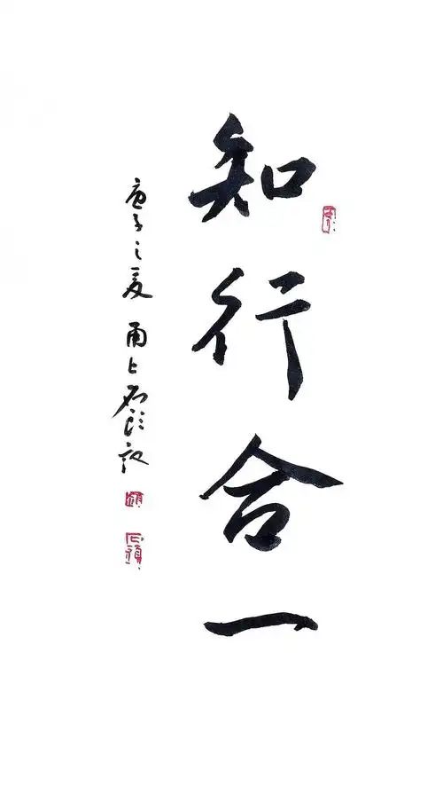 《知行合一》2020-6-23书