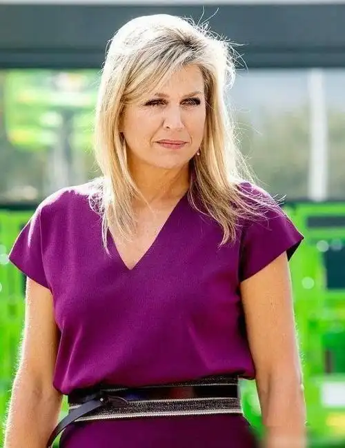 穿紫色v领裙被群嘲太壮旺夫脸明明超赞|阿黛尔|马克西玛|亚历山大