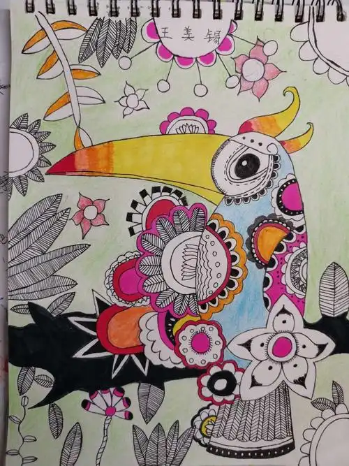 9.16欣赏学生作品 线描画——《大嘴鸟》