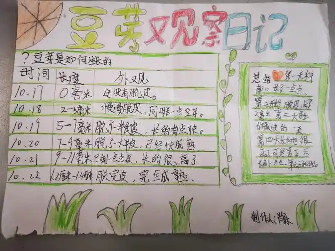 2什么?你们要把我们的豆芽吃掉!——四4班豆芽成长日记
