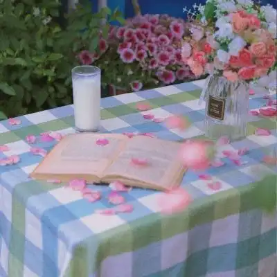 文艺青年喜欢的静物唯美意境图片头像