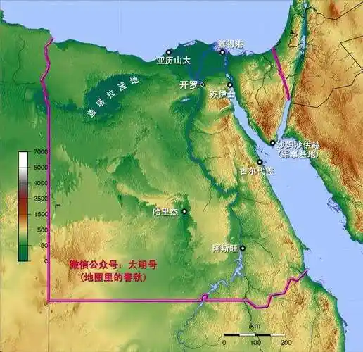 指出:        西奈半岛,尼罗河,苏伊士运河,阿斯旺大坝,纳赛尔湖(水库