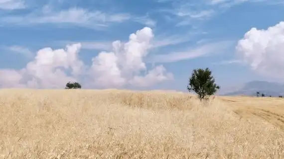 【好文分享】百听不腻的曲调,不只入耳,更入心_lonely_首歌_garden