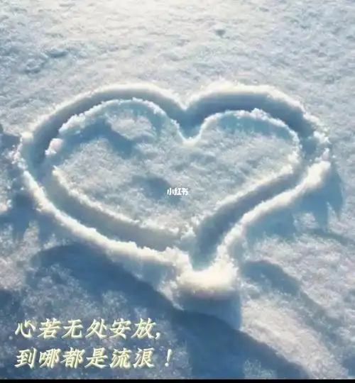 心若无处安放到哪都是流浪