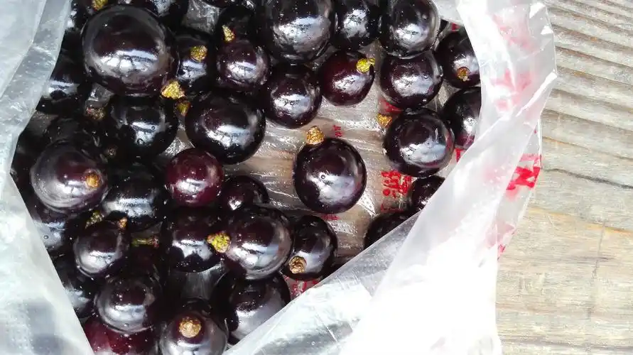 卖的人说是乌梅,我怎么看都不像.