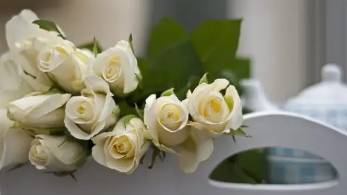 白玫瑰,朦胧 1242x2688 iphone xs max 壁纸,图片,背景,照片