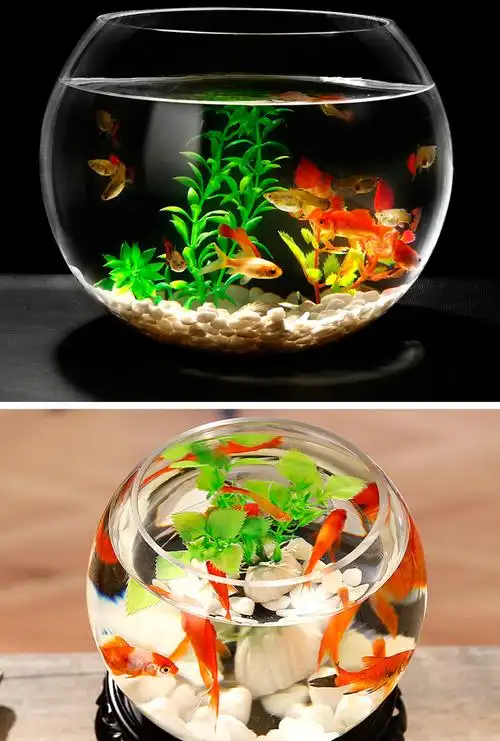 玻璃生态鱼缸水族箱客厅小型桌面乌龟缸创意迷你家用小鱼缸金鱼缸25