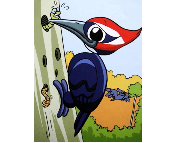 吃虫子的啄木鸟简笔画