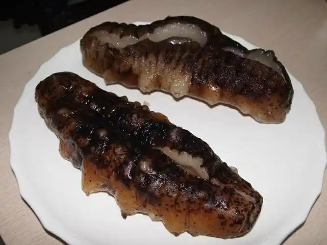 猪婆参澳洲非州南美洲野生海参特级白石参淡干货酒店供应一斤猪婆参皇