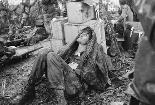 奠边府战役战争过程简介奠边府战役的总体行动介绍