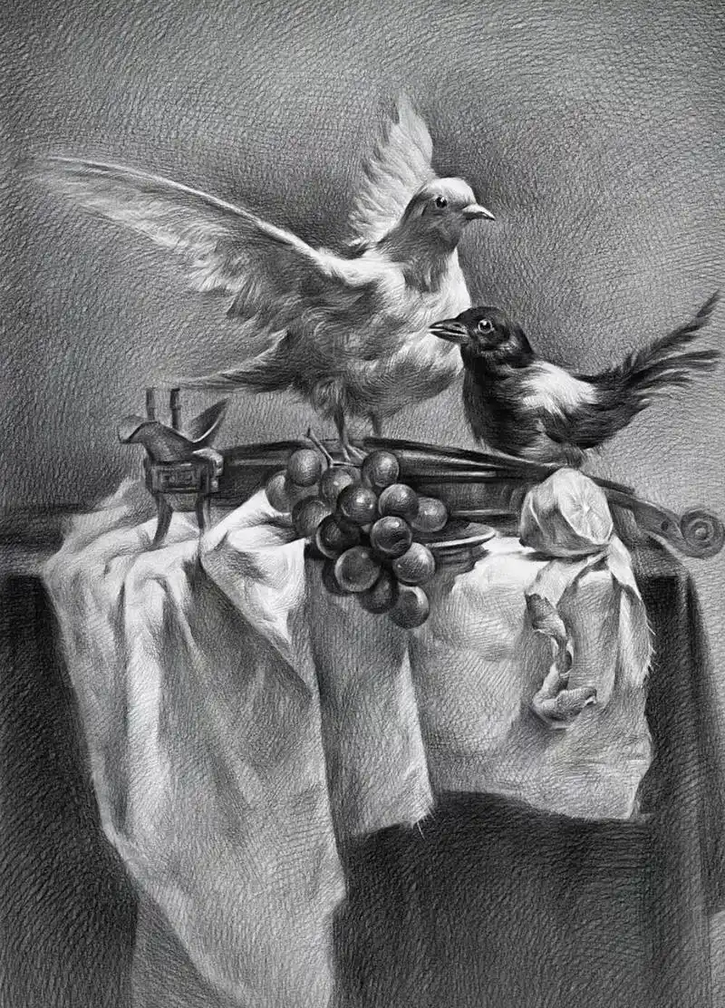 素描静物鸽子步骤 - 抖音