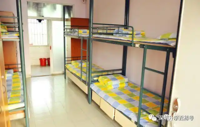 挑战传统八大名校地位,这所学校实力不容小觑!_深大附中