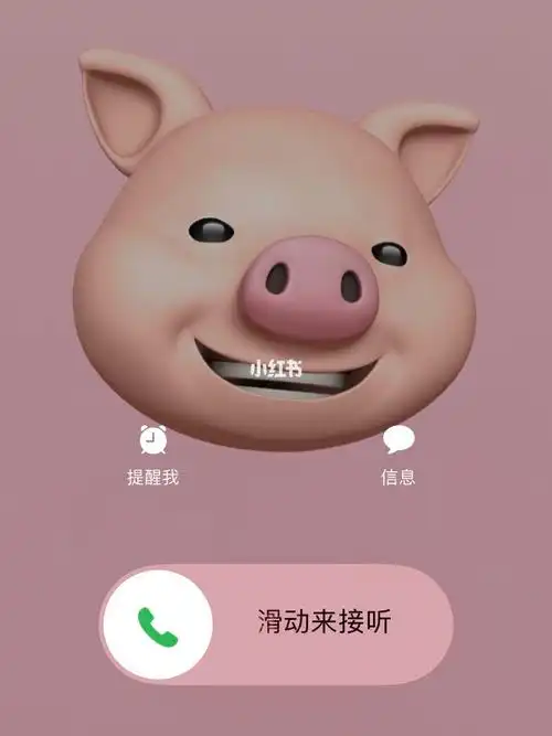 我用的是苹果xr,这个来电显示功能表情包超级无敌可爱7015_腮红