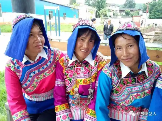 清代云南楚雄武定彝族密切支系服饰图像浅析