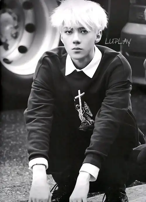 exo 吴世勋 sehun 明星 美男