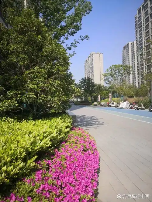 幸福,是开心的代名词,不可以以物化指标来界定