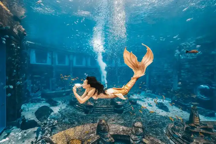 惊艳首届中国美人鱼表演赛举行决赛