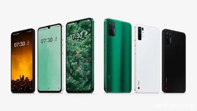 或命名坚果pro 4