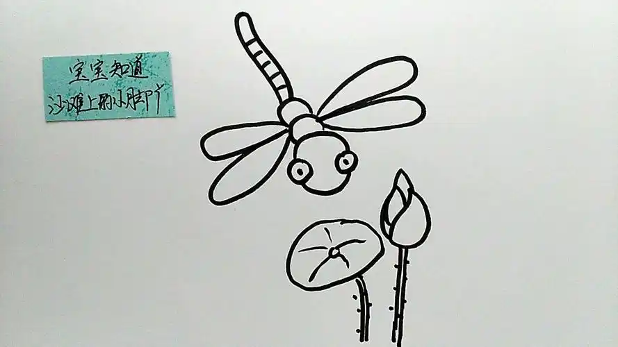 【闹元宵】少儿简笔画,蜻蜓和荷花