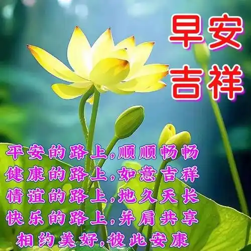 2023年6月7日周三早上好,精选早安暖心祝福图片带字带早上好问候语
