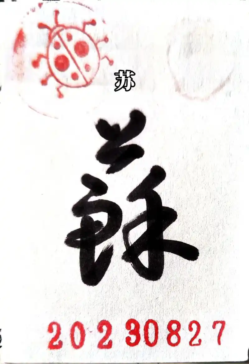 苏孝慈墓志 淮苏 词典网 苏字隶书写法_苏隶书怎么写好. - 抖音