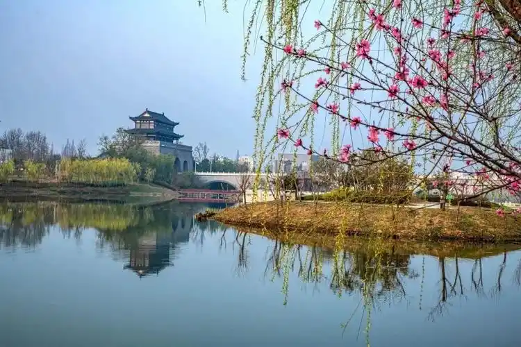 云赏安徽三月滁州浪漫花季