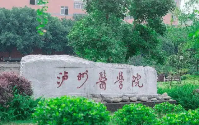 自己多次更改校名,却不许其他学校随意改名|泸州医学院|四川大学|西南