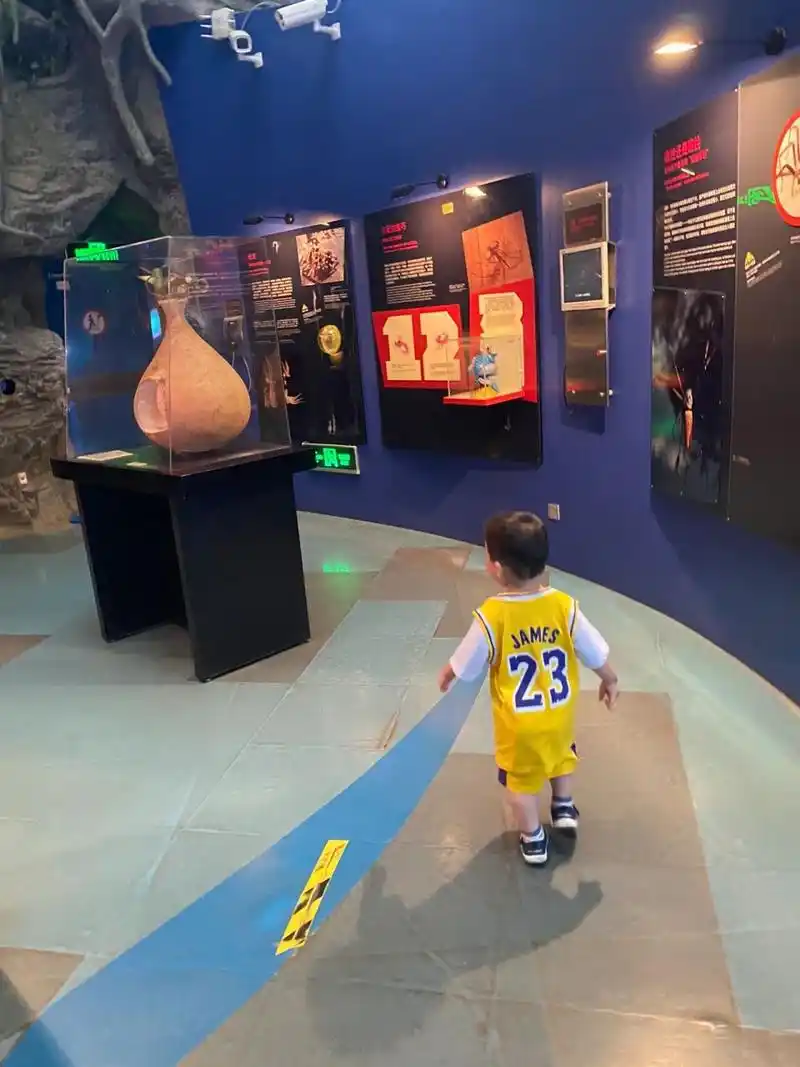 上海科技馆门票就22还不赶紧冲96 到老妈这来玩,本来想去昆虫馆的