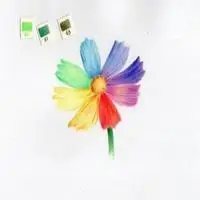 七色堇男性头像_微信头像图片大全