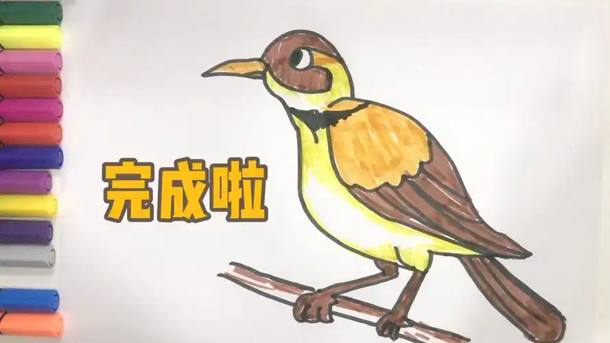 简笔画教程:画一只"画眉鸟"