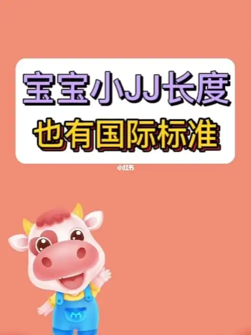 宝宝小jj长度也有国际标准