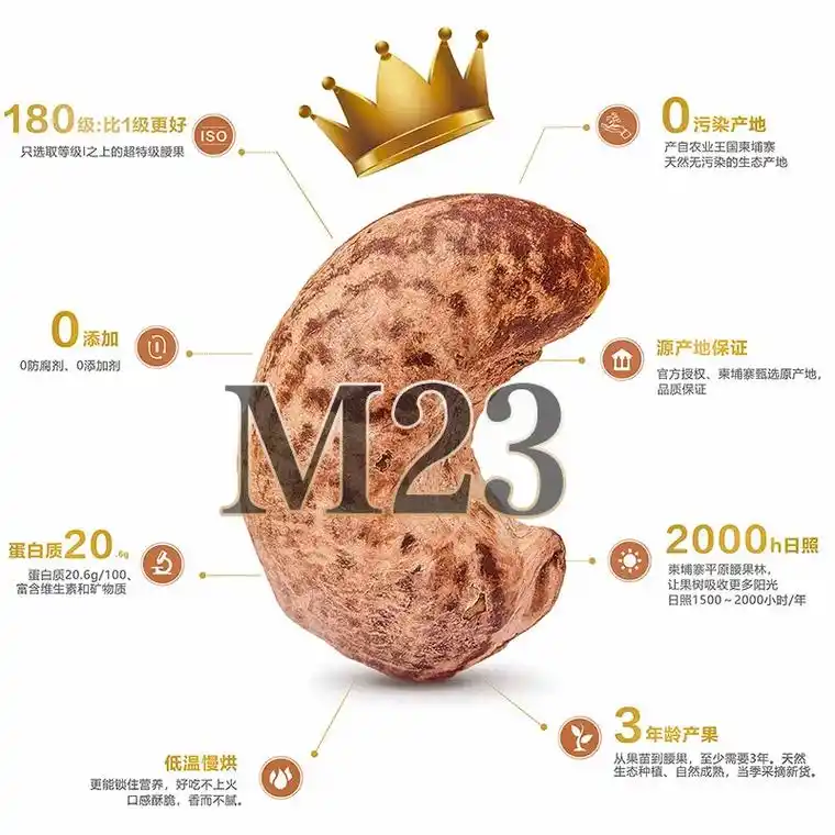 柬埔寨腰果"皇后".10多年前超级大腰果第一次在柬埔寨出现! - 抖音