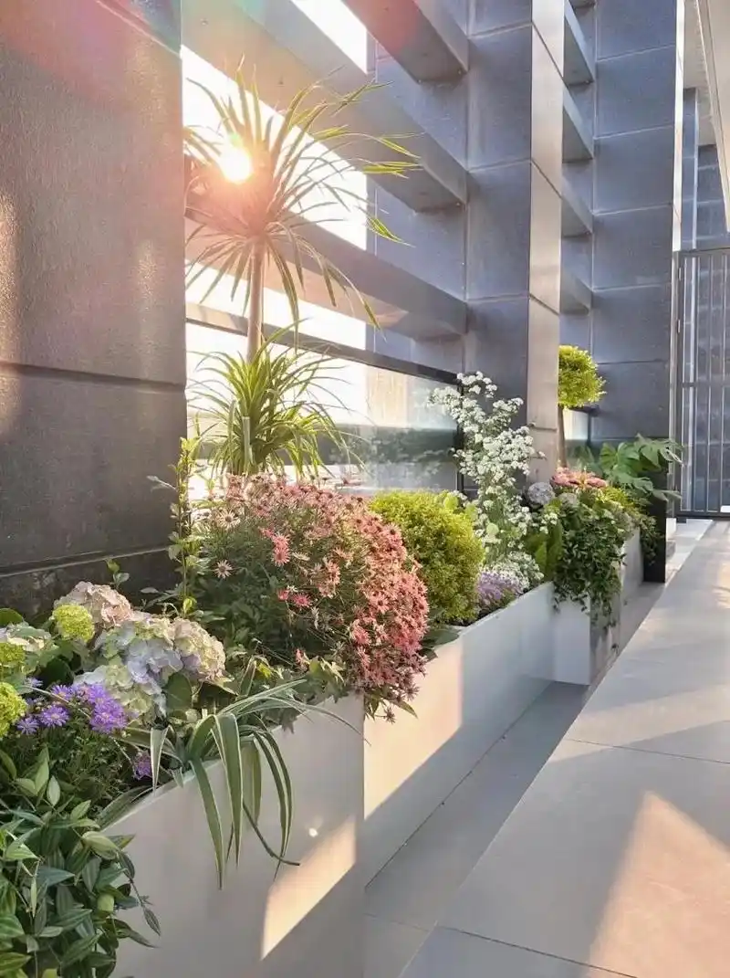花箱种植|小小露台景观设计97.小露台简单一顿操作,秒变小花 - 抖音