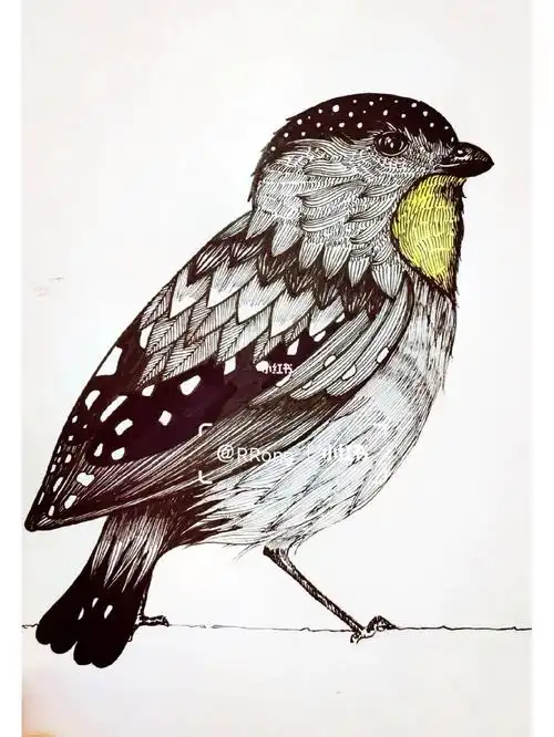 线描小鸟线描小画