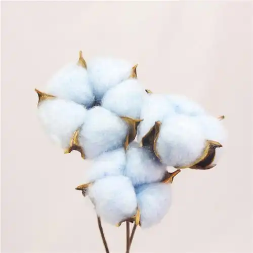 棉花干花永生家居客厅装饰插花摆件干花