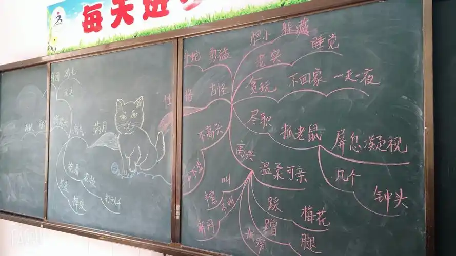 课堂中发生了什么?—《猫》的教学有感