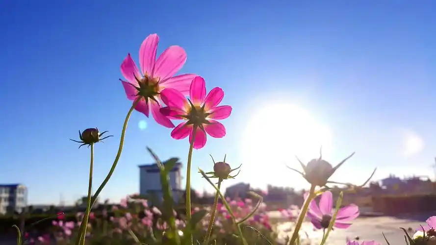 动人的美丽景色就在身边,需要你去发现,分享快乐好心情