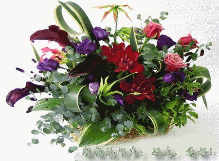 图片动图鲜花花篮gif动图_动态图_表情包下载_soogif
