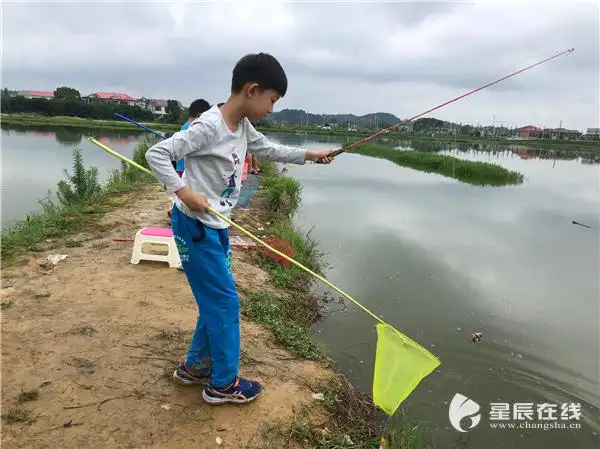 钓龙虾季节来啦!骨灰级钓友都去这个地方!